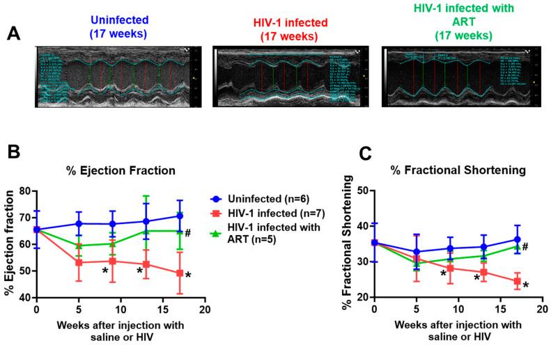 https://cdn.ncbi.nlm.nih.gov/pmc/blobs/6fe3/12027674/d774efe42f68/ijms-26-03801-g003.jpg
