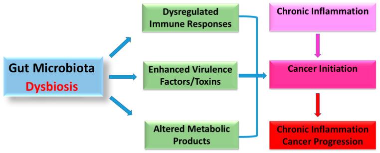 https://cdn.ncbi.nlm.nih.gov/pmc/blobs/6fe4/11939563/e1ade2f8f87e/biology-14-00251-g001.jpg