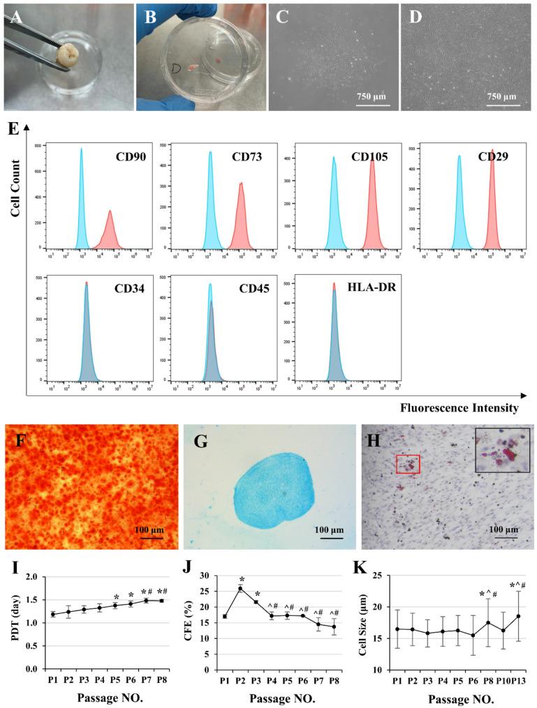 https://cdn.ncbi.nlm.nih.gov/pmc/blobs/6fe4/12135596/53a847c91e00/13036_2025_524_Fig1_HTML.jpg