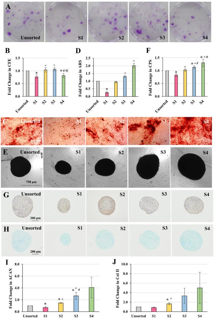 https://cdn.ncbi.nlm.nih.gov/pmc/blobs/6fe4/12135596/62906653f109/13036_2025_524_Fig6_HTML.jpg
