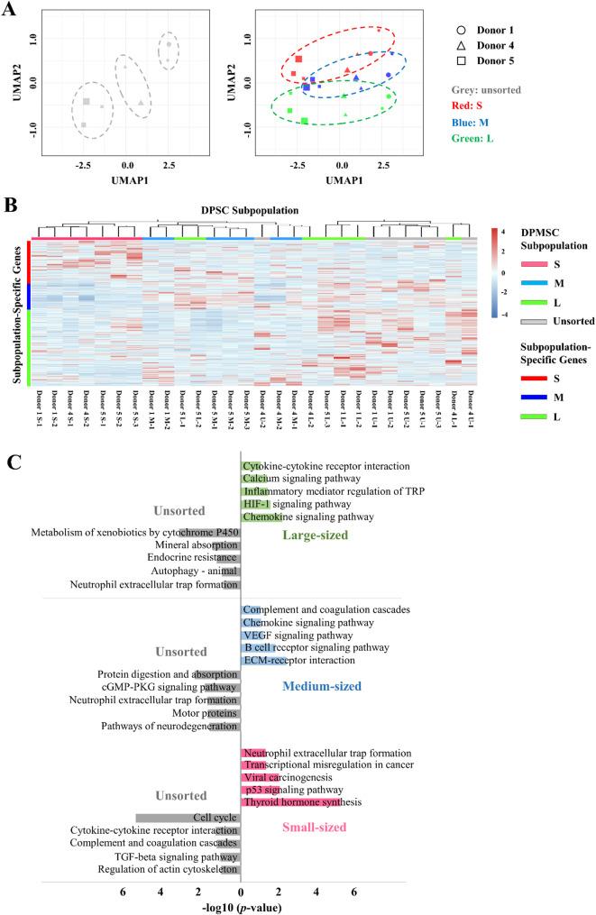 https://cdn.ncbi.nlm.nih.gov/pmc/blobs/6fe4/12135596/7c8f63c657e1/13036_2025_524_Fig12_HTML.jpg