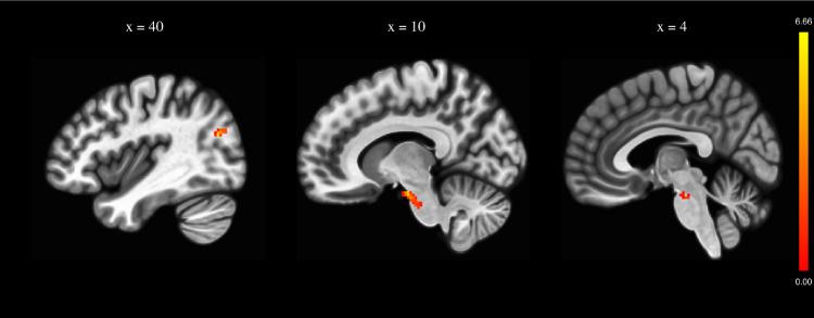 https://cdn.ncbi.nlm.nih.gov/pmc/blobs/6fe4/7880987/d7b8c1017a2e/41537_2021_138_Fig2_HTML.jpg