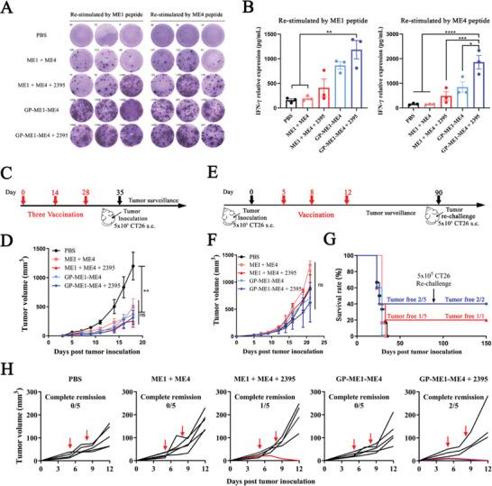 https://cdn.ncbi.nlm.nih.gov/pmc/blobs/6fe4/9403634/30b5697631c4/ADVS-9-2201496-g002.jpg