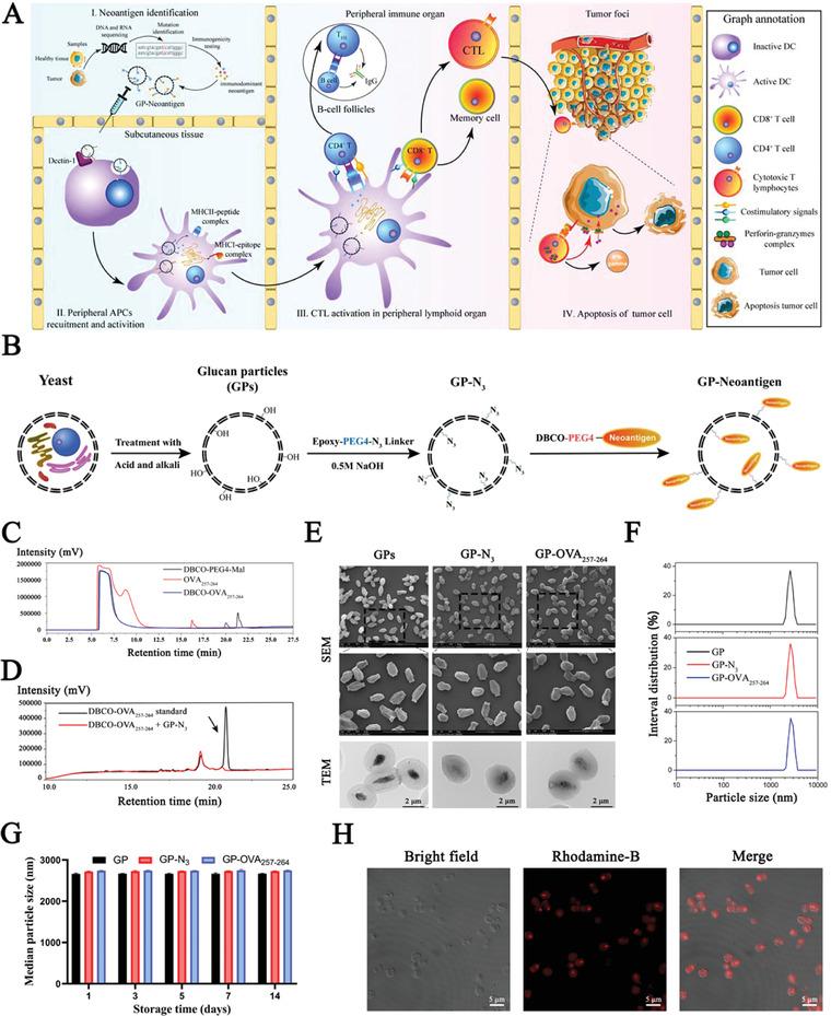 https://cdn.ncbi.nlm.nih.gov/pmc/blobs/6fe4/9403634/9addaef6c4ec/ADVS-9-2201496-g007.jpg