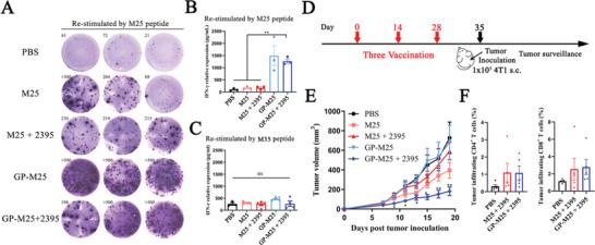 https://cdn.ncbi.nlm.nih.gov/pmc/blobs/6fe4/9403634/b789e63ca266/ADVS-9-2201496-g001.jpg