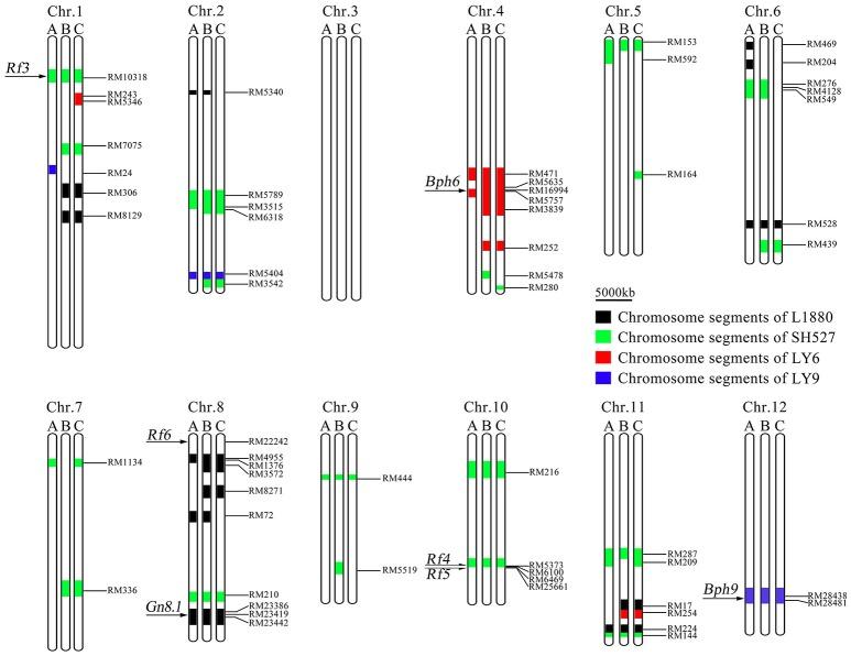 https://cdn.ncbi.nlm.nih.gov/pmc/blobs/6fe8/5461369/e8c95af26eb0/fpls-08-00986-g0004.jpg