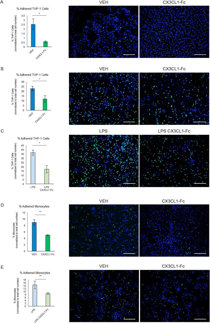 https://cdn.ncbi.nlm.nih.gov/pmc/blobs/6fe9/6358552/5cc39b55bc4b/gr4.jpg