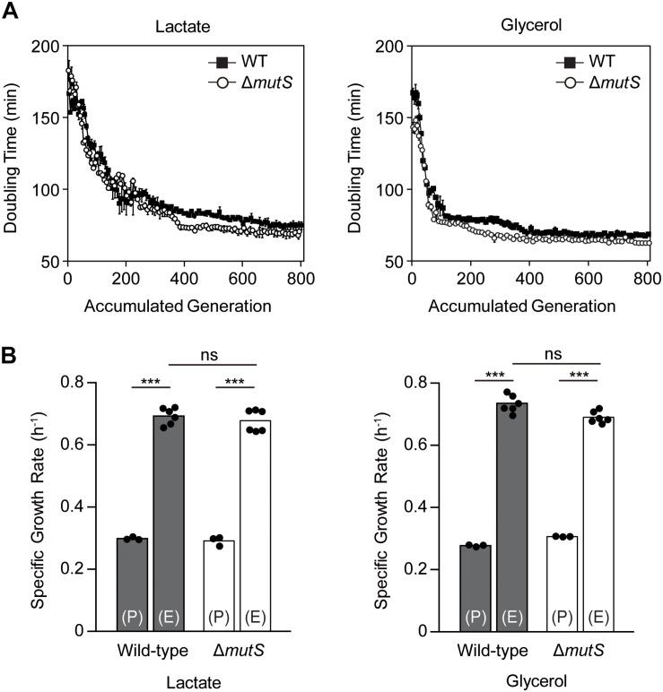 https://cdn.ncbi.nlm.nih.gov/pmc/blobs/6fe9/6706779/2a0d08e2012b/fmicb-10-01845-g001.jpg