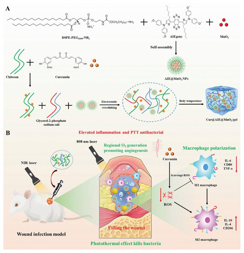 https://cdn.ncbi.nlm.nih.gov/pmc/blobs/6feb/12189897/1091afdb1432/biology-14-00619-g010.jpg