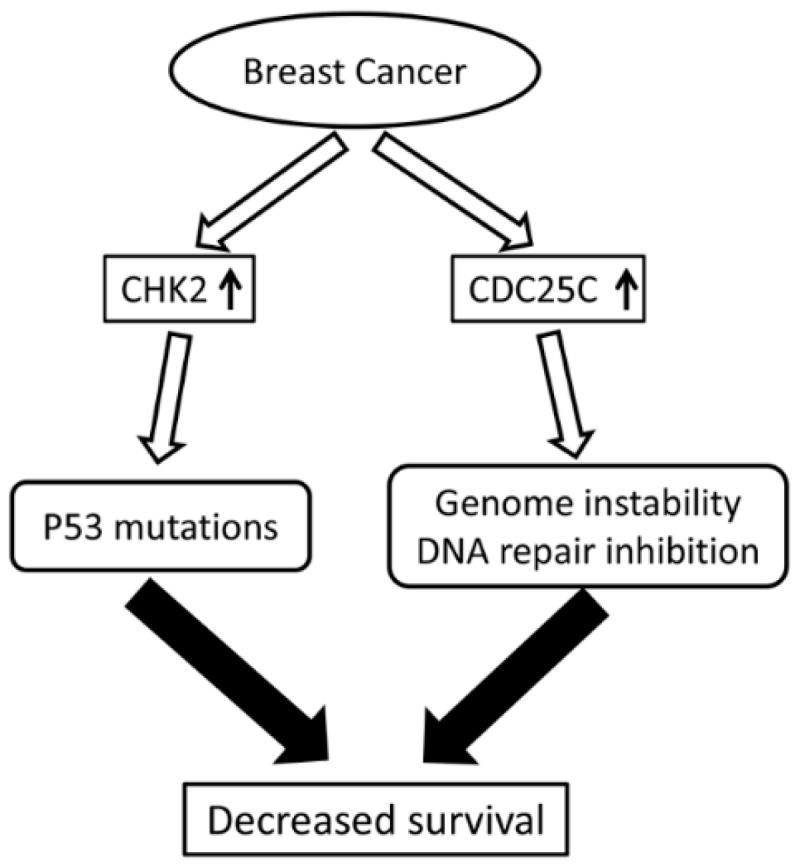https://cdn.ncbi.nlm.nih.gov/pmc/blobs/6fed/5133804/3154092a4f10/ijms-17-01803-g003.jpg