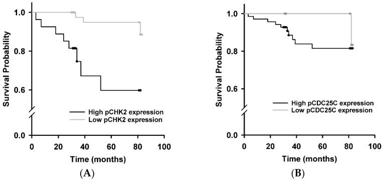 https://cdn.ncbi.nlm.nih.gov/pmc/blobs/6fed/5133804/64a4e551dc44/ijms-17-01803-g002.jpg