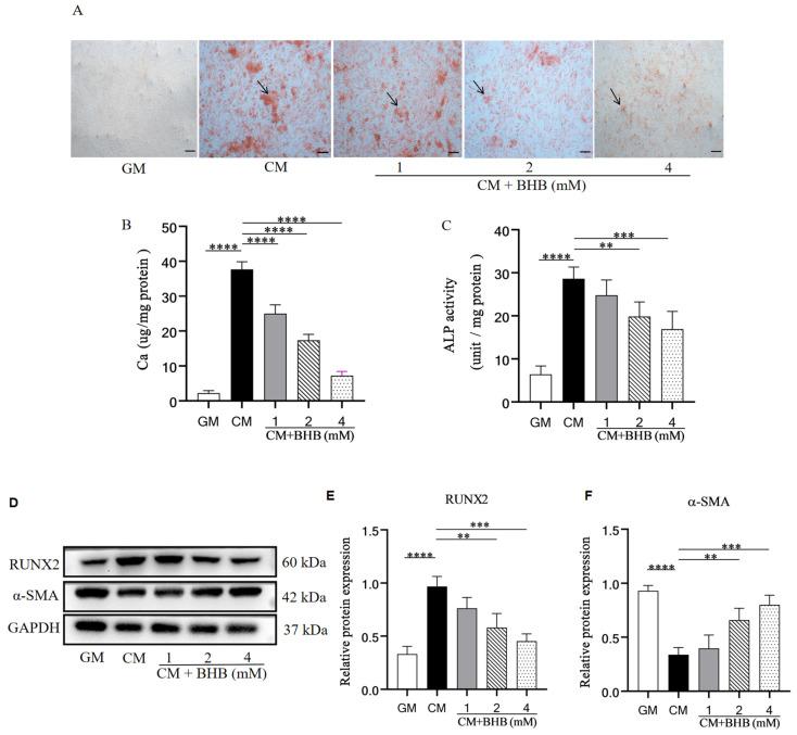 https://cdn.ncbi.nlm.nih.gov/pmc/blobs/6fee/11722964/64d2501bfb6d/nutrients-17-00111-g005.jpg