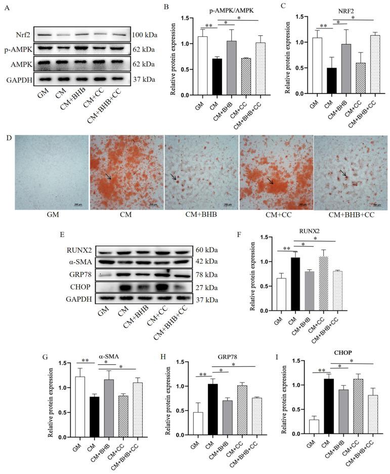 https://cdn.ncbi.nlm.nih.gov/pmc/blobs/6fee/11722964/6c4517bc9ef4/nutrients-17-00111-g008.jpg