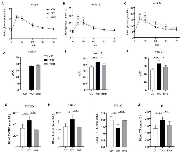 https://cdn.ncbi.nlm.nih.gov/pmc/blobs/6fee/11722964/6e5d644dc9a5/nutrients-17-00111-g002.jpg
