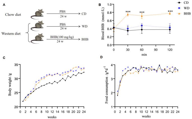 https://cdn.ncbi.nlm.nih.gov/pmc/blobs/6fee/11722964/9879fe6c8e40/nutrients-17-00111-g001.jpg