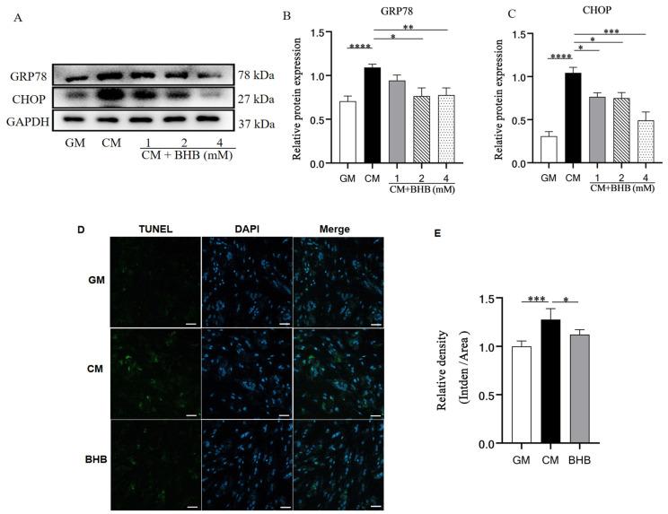 https://cdn.ncbi.nlm.nih.gov/pmc/blobs/6fee/11722964/ff8e768a0b10/nutrients-17-00111-g006.jpg