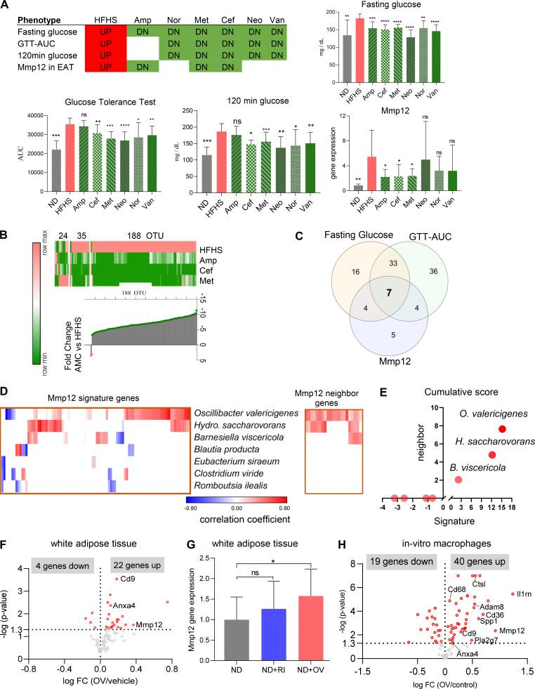 https://cdn.ncbi.nlm.nih.gov/pmc/blobs/6ff0/9170383/27a85aa18721/JEM_20220017_Fig7.jpg
