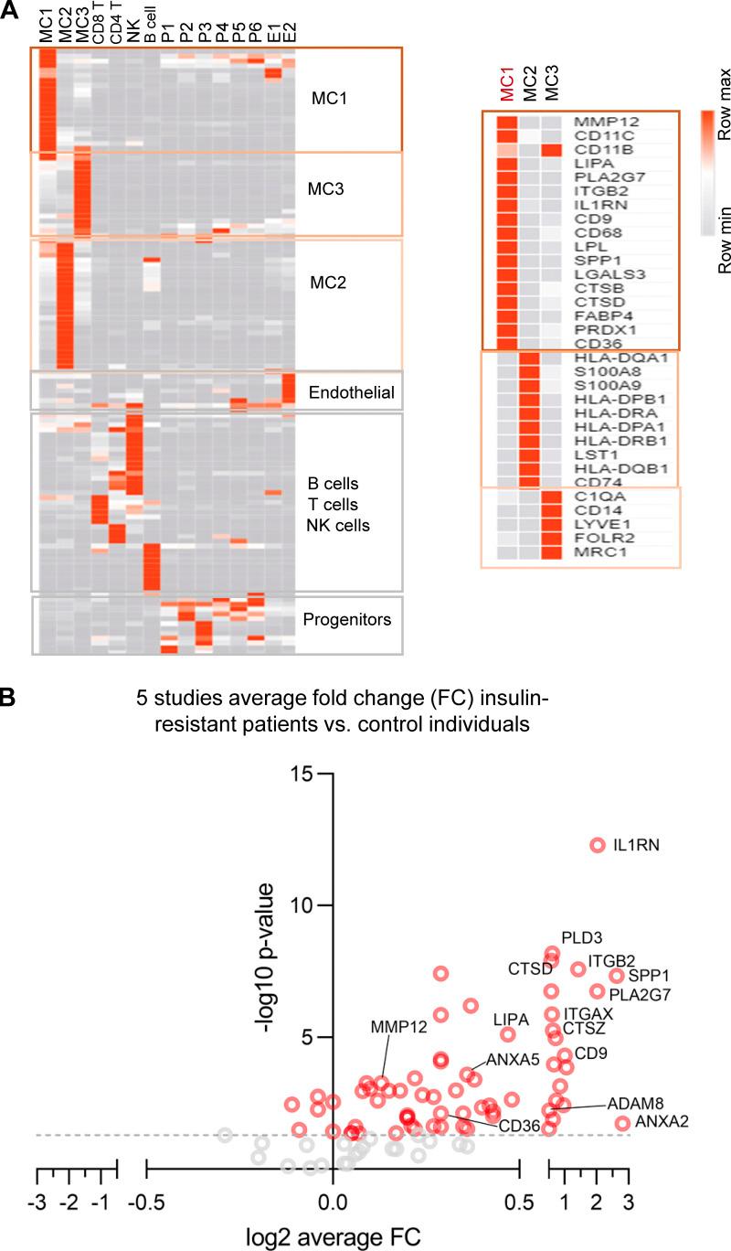 https://cdn.ncbi.nlm.nih.gov/pmc/blobs/6ff0/9170383/316e763c52f2/JEM_20220017_FigS3.jpg