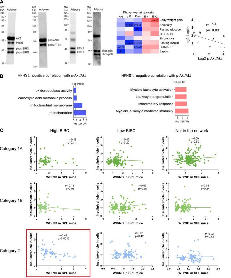 https://cdn.ncbi.nlm.nih.gov/pmc/blobs/6ff0/9170383/62171369110d/JEM_20220017_FigS1.jpg