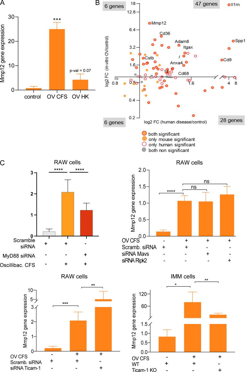 https://cdn.ncbi.nlm.nih.gov/pmc/blobs/6ff0/9170383/6d31bb2b1315/JEM_20220017_FigS5.jpg