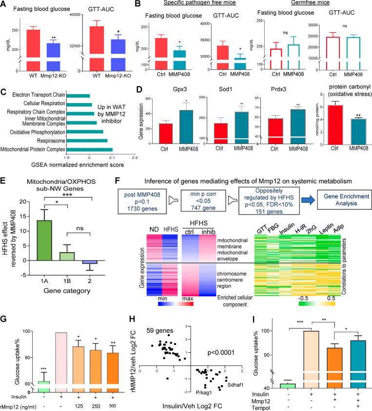 https://cdn.ncbi.nlm.nih.gov/pmc/blobs/6ff0/9170383/ca1f1933f8f5/JEM_20220017_Fig5.jpg