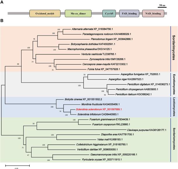 https://cdn.ncbi.nlm.nih.gov/pmc/blobs/6ff1/10277653/368c5024da4b/fpls-14-1096831-g001.jpg
