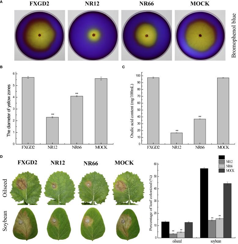 https://cdn.ncbi.nlm.nih.gov/pmc/blobs/6ff1/10277653/3ba1ae9c0beb/fpls-14-1096831-g006.jpg