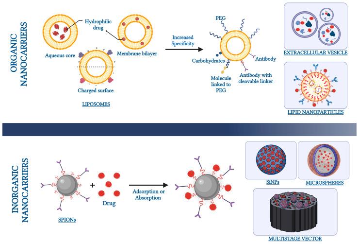 https://cdn.ncbi.nlm.nih.gov/pmc/blobs/6ff2/10974668/46f613b2c2cc/pharmaceutics-16-00431-g002.jpg