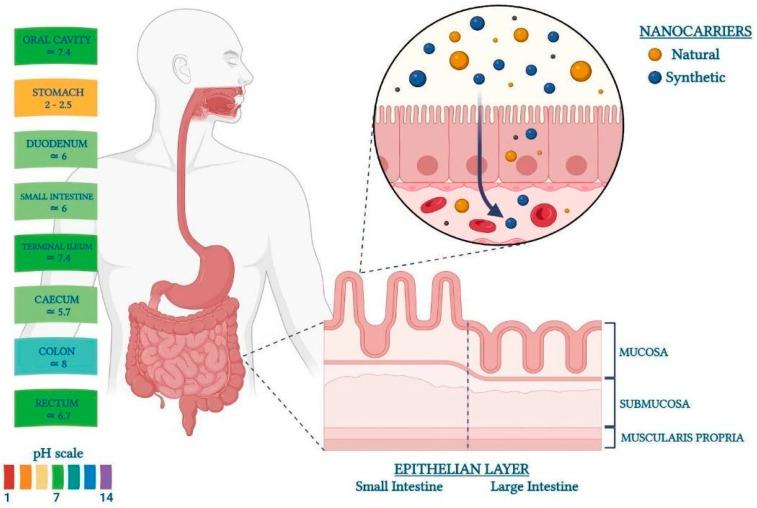 https://cdn.ncbi.nlm.nih.gov/pmc/blobs/6ff2/10974668/76972252d96a/pharmaceutics-16-00431-g003.jpg
