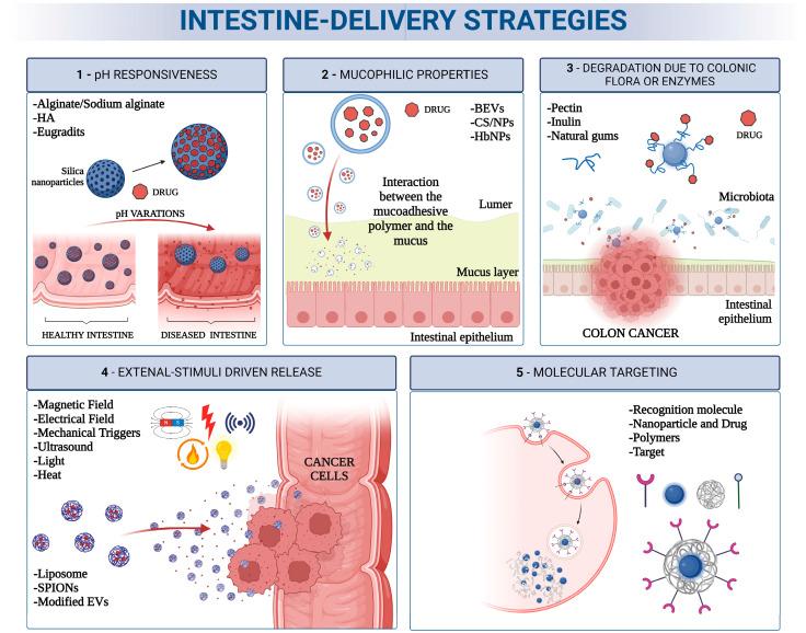 https://cdn.ncbi.nlm.nih.gov/pmc/blobs/6ff2/10974668/d5cbda844309/pharmaceutics-16-00431-g006.jpg