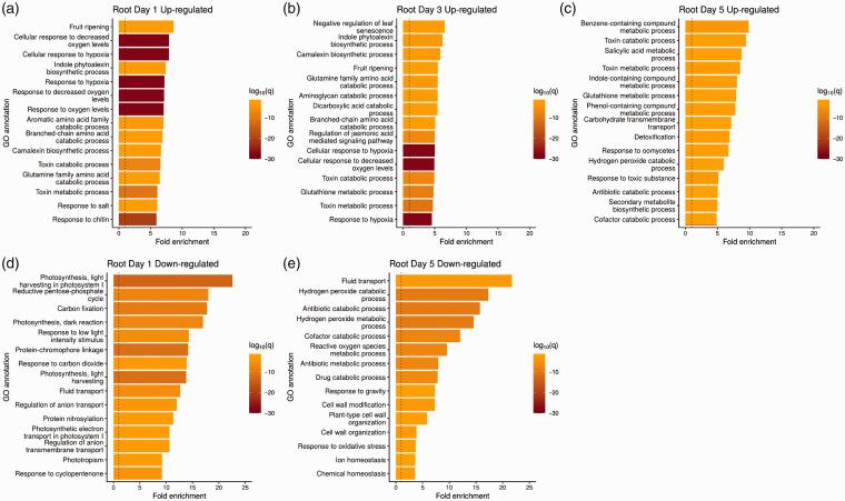 https://cdn.ncbi.nlm.nih.gov/pmc/blobs/6ff2/7882811/34fa6da7a93f/10.1177_1753425920980512-fig5.jpg