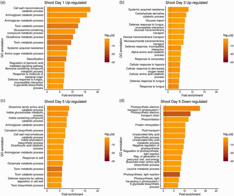 https://cdn.ncbi.nlm.nih.gov/pmc/blobs/6ff2/7882811/3b1e442c91d0/10.1177_1753425920980512-fig6.jpg