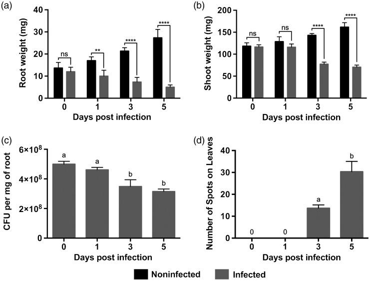 https://cdn.ncbi.nlm.nih.gov/pmc/blobs/6ff2/7882811/a4d091569eef/10.1177_1753425920980512-fig1.jpg