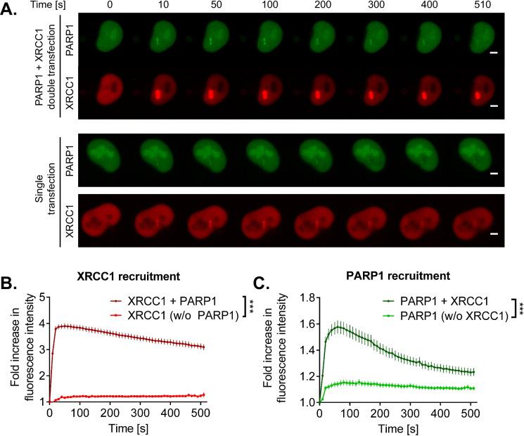 https://cdn.ncbi.nlm.nih.gov/pmc/blobs/6ff3/10042965/9f809efc03c6/10565_2022_9739_Fig2_HTML.jpg