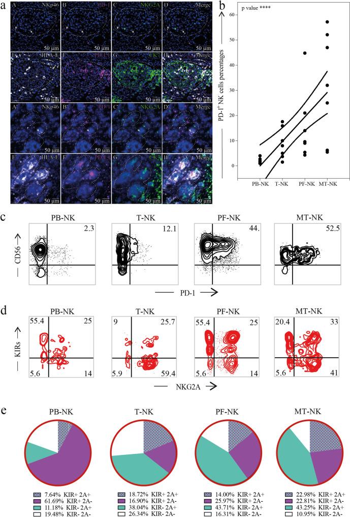 https://cdn.ncbi.nlm.nih.gov/pmc/blobs/6ff4/12395815/892d5161d054/13046_2025_3508_Fig8_HTML.jpg