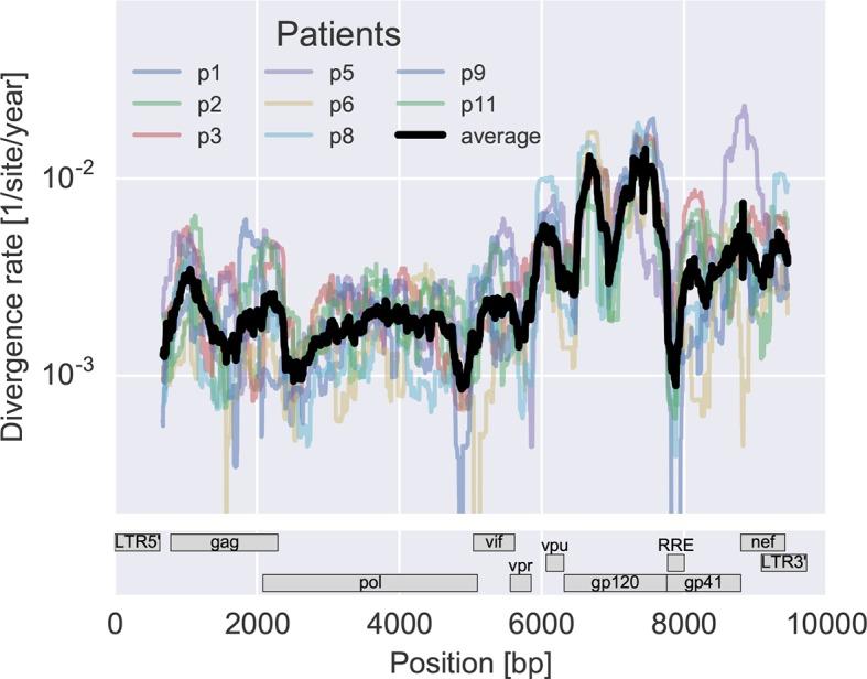 https://cdn.ncbi.nlm.nih.gov/pmc/blobs/6ff5/4718817/298d5d6b5747/elife-11282-fig3.jpg