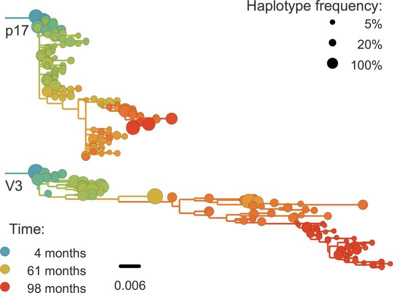 https://cdn.ncbi.nlm.nih.gov/pmc/blobs/6ff5/4718817/a560590791b7/elife-11282-fig8.jpg