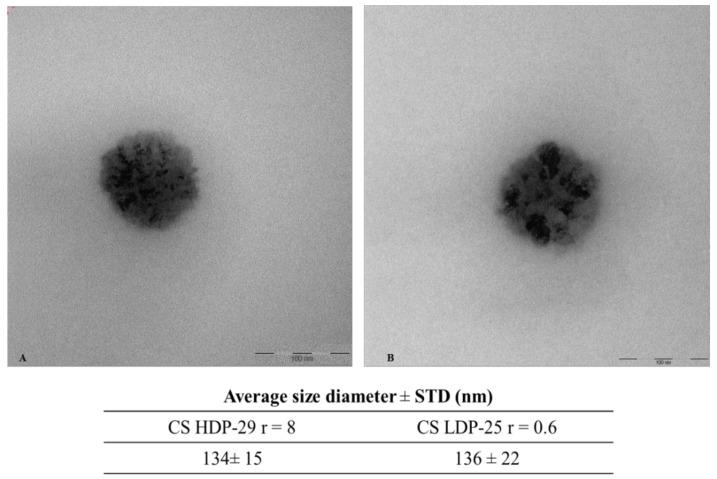 https://cdn.ncbi.nlm.nih.gov/pmc/blobs/6ff8/6415274/4a896b07e8c8/polymers-10-00444-g005.jpg