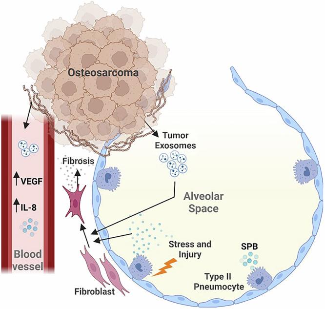 https://cdn.ncbi.nlm.nih.gov/pmc/blobs/6ffd/12081698/51c6f49a28af/42003_2025_7992_Fig1_HTML.jpg