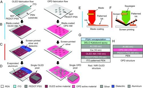 https://cdn.ncbi.nlm.nih.gov/pmc/blobs/6fff/6255203/60e6453b5f08/pnas.1813053115fig02.jpg
