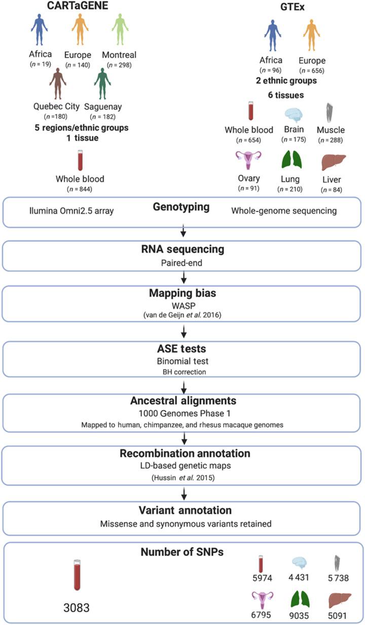 https://cdn.ncbi.nlm.nih.gov/pmc/blobs/6fff/9106294/6a8b665a24e3/sciadv.abl3819-f1.jpg