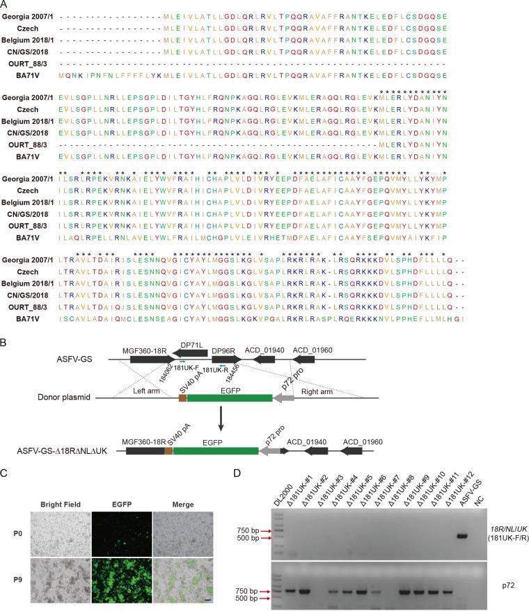 https://cdn.ncbi.nlm.nih.gov/pmc/blobs/7000/10134827/b0614dfced1e/jvi.00247-23-f001.jpg