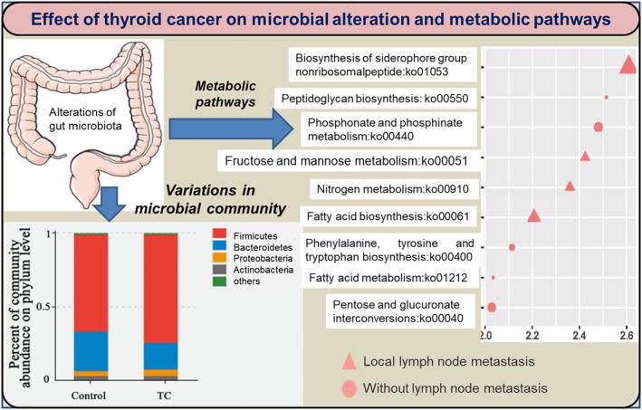 https://cdn.ncbi.nlm.nih.gov/pmc/blobs/7000/10563736/cd7f0419a898/FSN3-11-5657-g002.jpg
