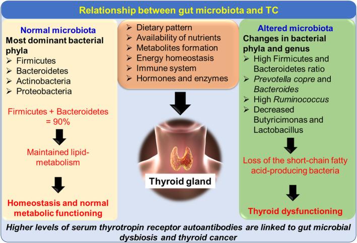 https://cdn.ncbi.nlm.nih.gov/pmc/blobs/7000/10563736/f088f6dcfde4/FSN3-11-5657-g007.jpg
