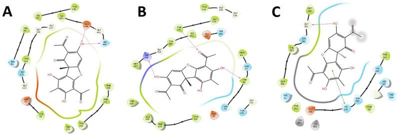 https://cdn.ncbi.nlm.nih.gov/pmc/blobs/7000/9227586/83033077a988/metabolites-12-00560-g007.jpg