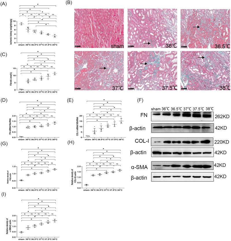 https://cdn.ncbi.nlm.nih.gov/pmc/blobs/7000/9543178/140ab39197cf/IRNF_A_2126790_F0007_C.jpg