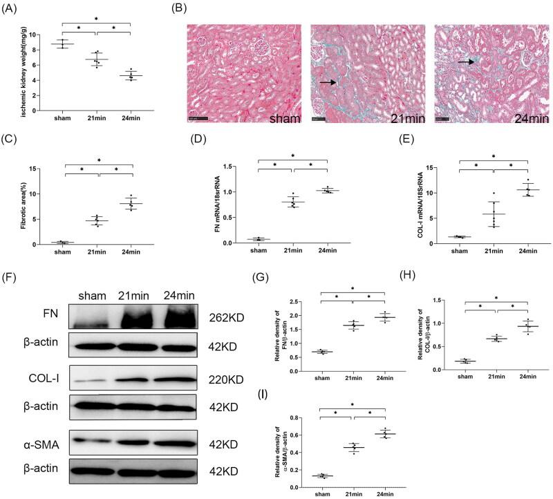 https://cdn.ncbi.nlm.nih.gov/pmc/blobs/7000/9543178/66962fead190/IRNF_A_2126790_F0010_C.jpg