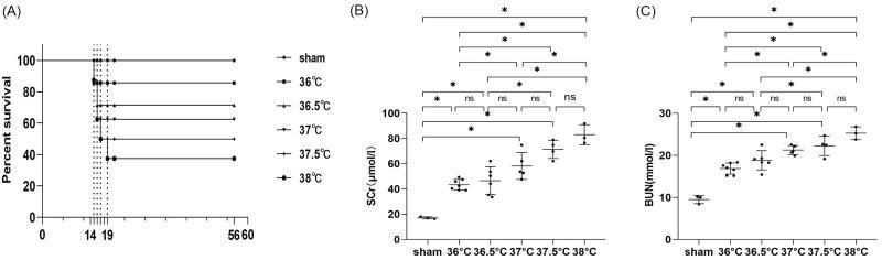 https://cdn.ncbi.nlm.nih.gov/pmc/blobs/7000/9543178/81a722a3b165/IRNF_A_2126790_F0005_B.jpg