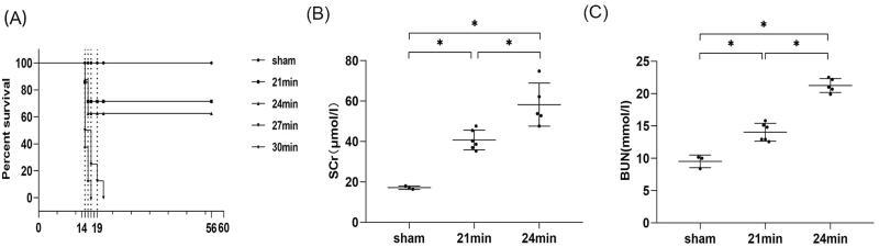 https://cdn.ncbi.nlm.nih.gov/pmc/blobs/7000/9543178/e66da373a3d2/IRNF_A_2126790_F0008_B.jpg