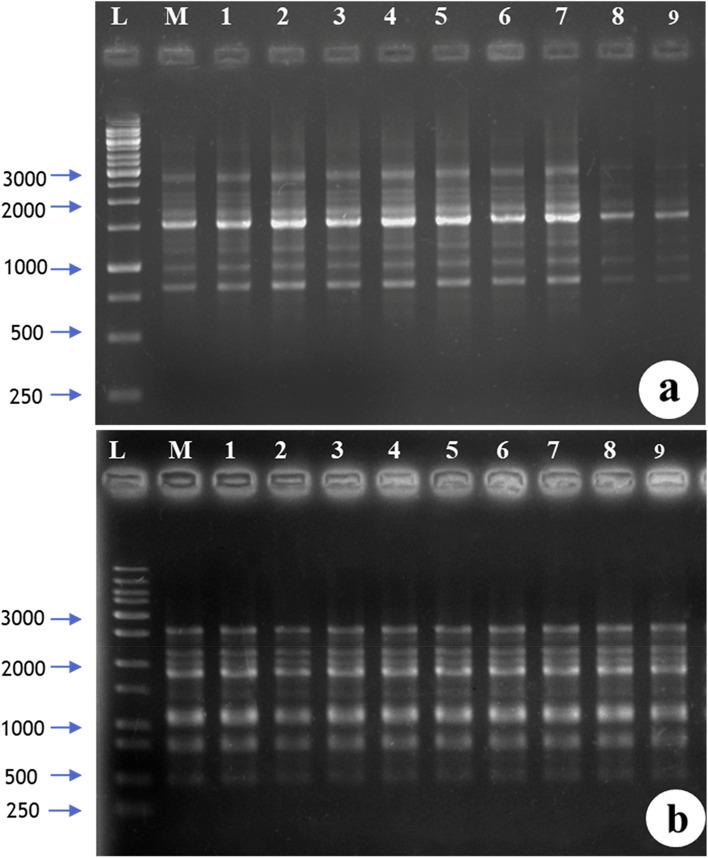 https://cdn.ncbi.nlm.nih.gov/pmc/blobs/7002/10236102/4e386f1fa8ff/43141_2023_523_Fig8_HTML.jpg